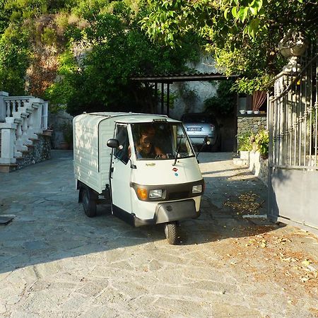 La Tana Del Tasso Ventimiglia Bed & Breakfast Eksteriør bilde