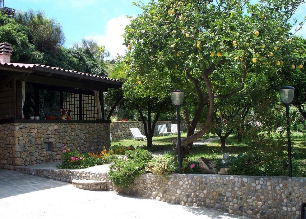 La Tana Del Tasso Ventimiglia Bed & Breakfast Eksteriør bilde