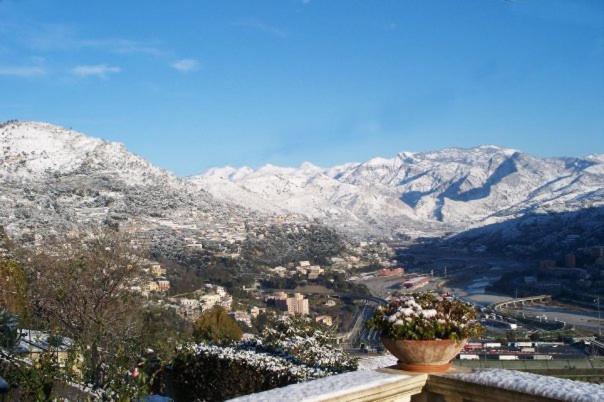 La Tana Del Tasso Ventimiglia Bed & Breakfast Eksteriør bilde