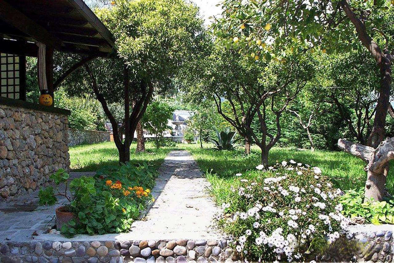 La Tana Del Tasso Ventimiglia Bed & Breakfast Eksteriør bilde